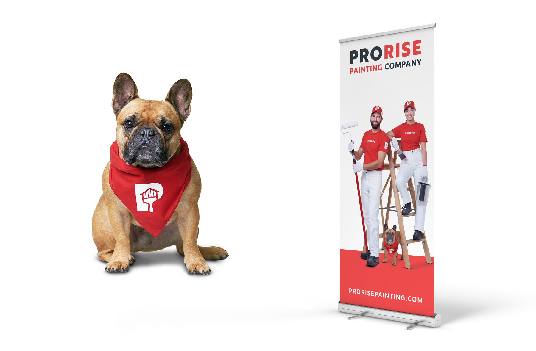 ProRise Painting Banner and Toby the Dog with a Bandana